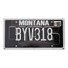 2018 Montana 406 License Plate #BYV318